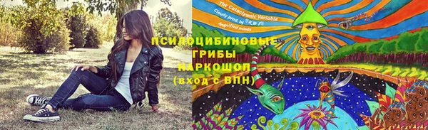 спайс Арсеньев