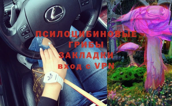 спайс Арсеньев