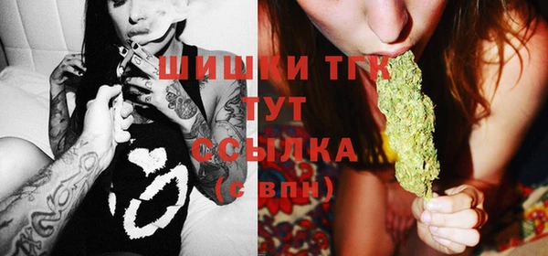 шишки Армянск