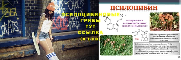 таблы Аркадак
