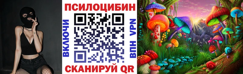 Галлюциногенные грибы мицелий  Снежногорск 